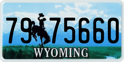 WY license plate 7975660