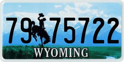 WY license plate 7975722