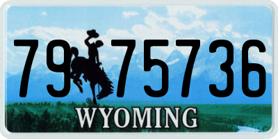 WY license plate 7975736