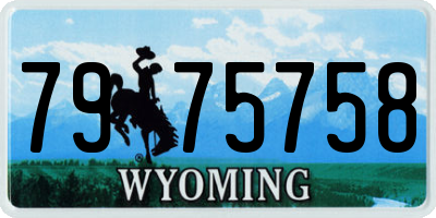 WY license plate 7975758