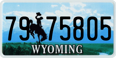 WY license plate 7975805