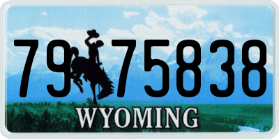 WY license plate 7975838