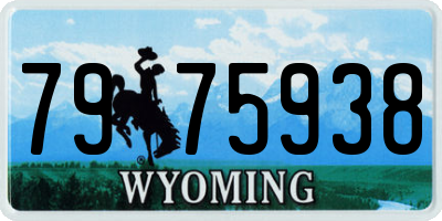 WY license plate 7975938