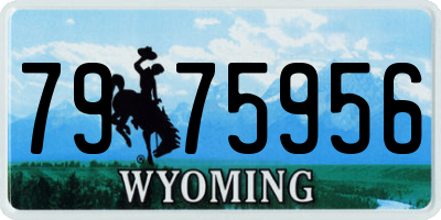 WY license plate 7975956