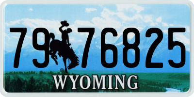 WY license plate 7976825