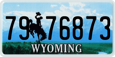 WY license plate 7976873