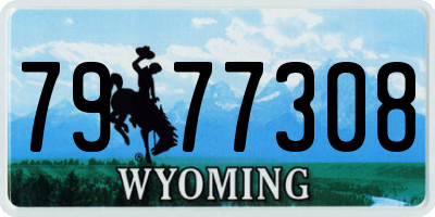 WY license plate 7977308