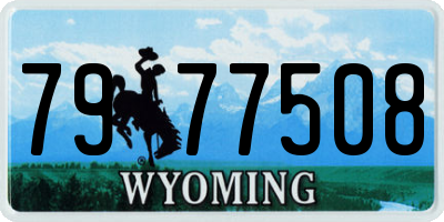 WY license plate 7977508