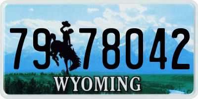 WY license plate 7978042