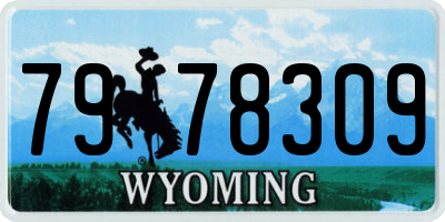 WY license plate 7978309