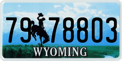 WY license plate 7978803