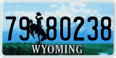 WY license plate 7980238