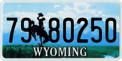 WY license plate 7980250
