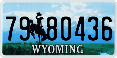 WY license plate 7980436