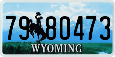 WY license plate 7980473
