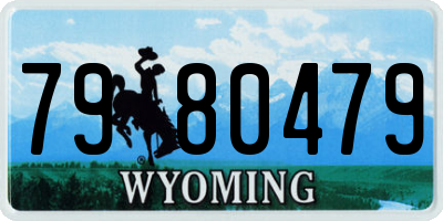 WY license plate 7980479