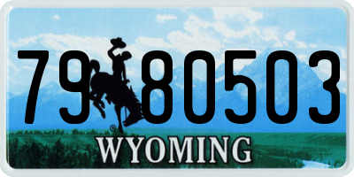 WY license plate 7980503