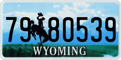 WY license plate 7980539