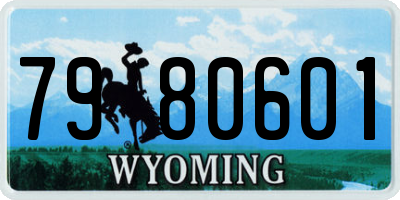 WY license plate 7980601