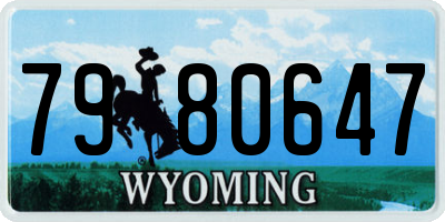 WY license plate 7980647