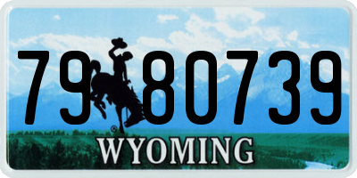 WY license plate 7980739