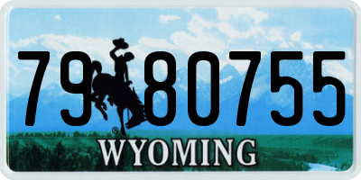 WY license plate 7980755