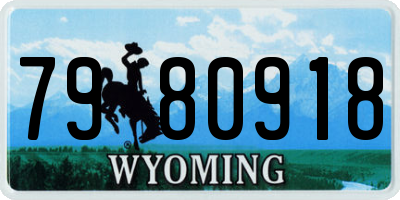 WY license plate 7980918