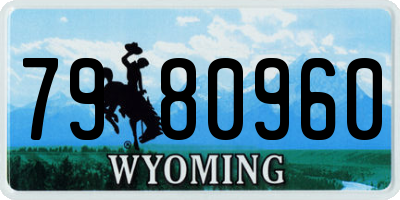 WY license plate 7980960