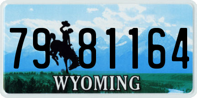 WY license plate 7981164