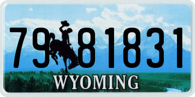 WY license plate 7981831