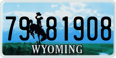WY license plate 7981908