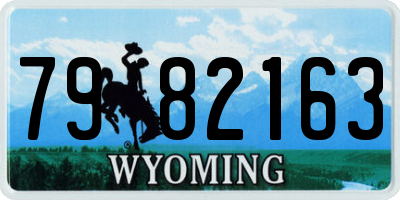 WY license plate 7982163