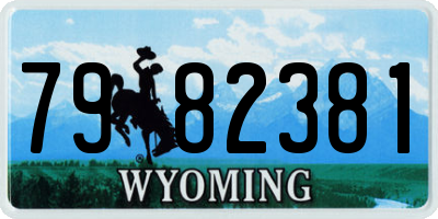 WY license plate 7982381