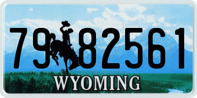 WY license plate 7982561
