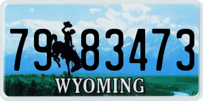 WY license plate 7983473