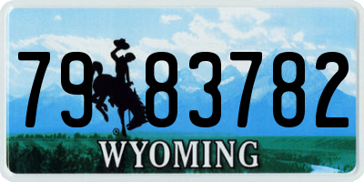 WY license plate 7983782