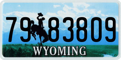 WY license plate 7983809