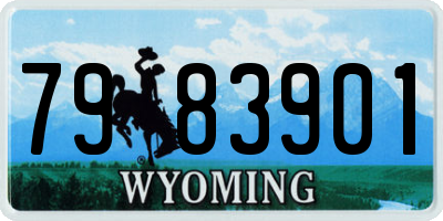 WY license plate 7983901