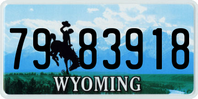WY license plate 7983918