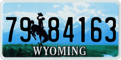 WY license plate 7984163