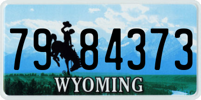 WY license plate 7984373