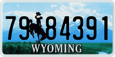 WY license plate 7984391