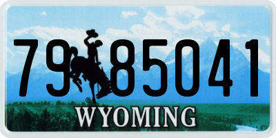 WY license plate 7985041