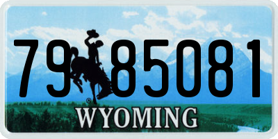 WY license plate 7985081