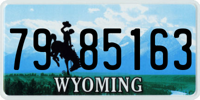 WY license plate 7985163
