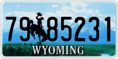 WY license plate 7985231