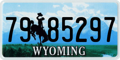 WY license plate 7985297