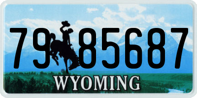 WY license plate 7985687