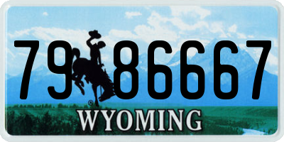 WY license plate 7986667