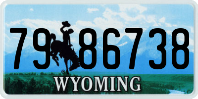 WY license plate 7986738